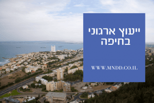 ייעוץ ארגוני בחיפה